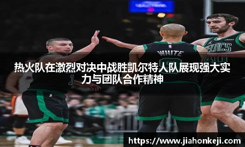 多多28网址
