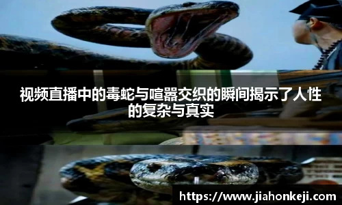 多多28官网