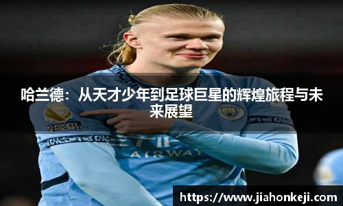 多多28网址